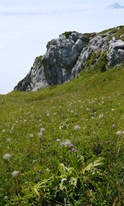 Preview wallpaper valley, greenery, rocks, landscape, nature