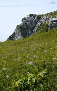 Preview wallpaper valley, greenery, rocks, landscape, nature