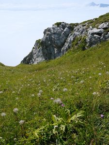 Preview wallpaper valley, greenery, rocks, landscape, nature