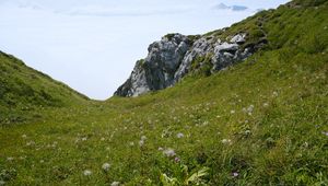 Preview wallpaper valley, greenery, rocks, landscape, nature