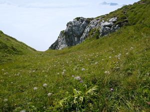 Preview wallpaper valley, greenery, rocks, landscape, nature