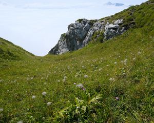 Preview wallpaper valley, greenery, rocks, landscape, nature