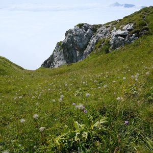 Preview wallpaper valley, greenery, rocks, landscape, nature