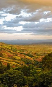 Preview wallpaper valley, hills, bushes, trees, distance