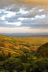 Preview wallpaper valley, hills, bushes, trees, distance