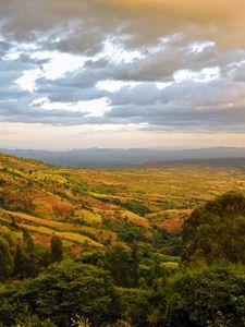 Preview wallpaper valley, hills, bushes, trees, distance