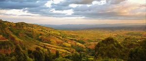 Preview wallpaper valley, hills, bushes, trees, distance