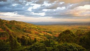 Preview wallpaper valley, hills, bushes, trees, distance