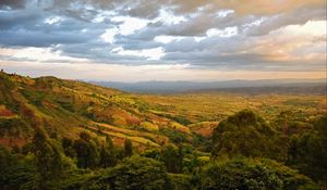 Preview wallpaper valley, hills, bushes, trees, distance