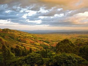 Preview wallpaper valley, hills, bushes, trees, distance