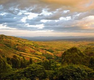 Preview wallpaper valley, hills, bushes, trees, distance