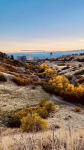 Preview wallpaper valley, hills, bushes, buildings, landscape