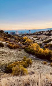 Preview wallpaper valley, hills, bushes, buildings, landscape