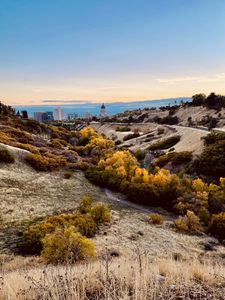 Preview wallpaper valley, hills, bushes, buildings, landscape