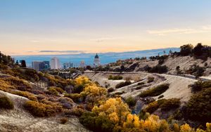 Preview wallpaper valley, hills, bushes, buildings, landscape