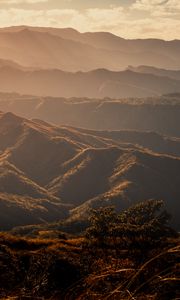 Preview wallpaper valley, hills, fog, trees, grass