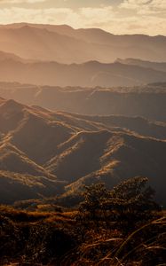 Preview wallpaper valley, hills, fog, trees, grass