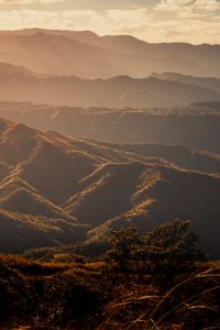 Preview wallpaper valley, hills, fog, trees, grass