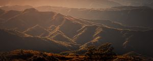 Preview wallpaper valley, hills, fog, trees, grass