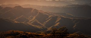 Preview wallpaper valley, hills, fog, trees, grass