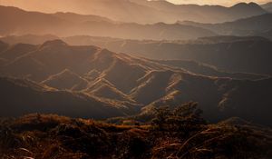 Preview wallpaper valley, hills, fog, trees, grass