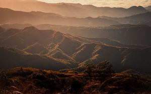 Preview wallpaper valley, hills, fog, trees, grass