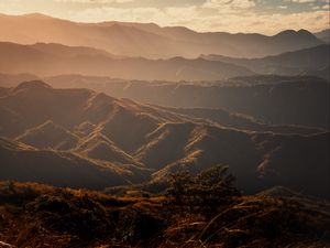 Preview wallpaper valley, hills, fog, trees, grass