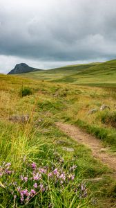 Preview wallpaper valley, hills, path, grass, flowers, nature