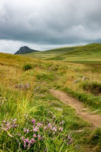 Preview wallpaper valley, hills, path, grass, flowers, nature