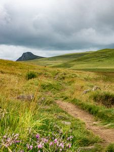 Preview wallpaper valley, hills, path, grass, flowers, nature