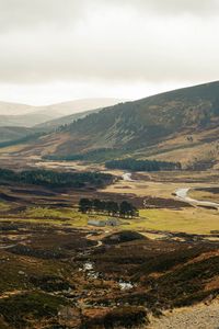 Preview wallpaper valley, hills, river, trees, grass, nature