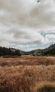 Preview wallpaper valley, hills, trees, grass, landscape