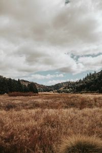 Preview wallpaper valley, hills, trees, grass, landscape