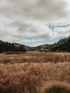 Preview wallpaper valley, hills, trees, grass, landscape