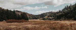 Preview wallpaper valley, hills, trees, grass, landscape