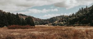 Preview wallpaper valley, hills, trees, grass, landscape