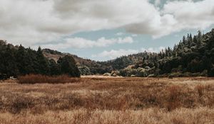 Preview wallpaper valley, hills, trees, grass, landscape