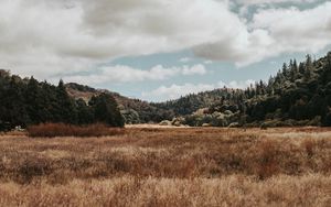 Preview wallpaper valley, hills, trees, grass, landscape