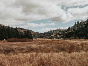 Preview wallpaper valley, hills, trees, grass, landscape