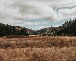 Preview wallpaper valley, hills, trees, grass, landscape