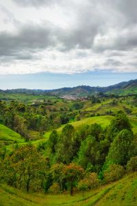 Preview wallpaper valley, hills, trees, landscape, nature