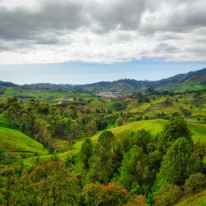 Preview wallpaper valley, hills, trees, landscape, nature