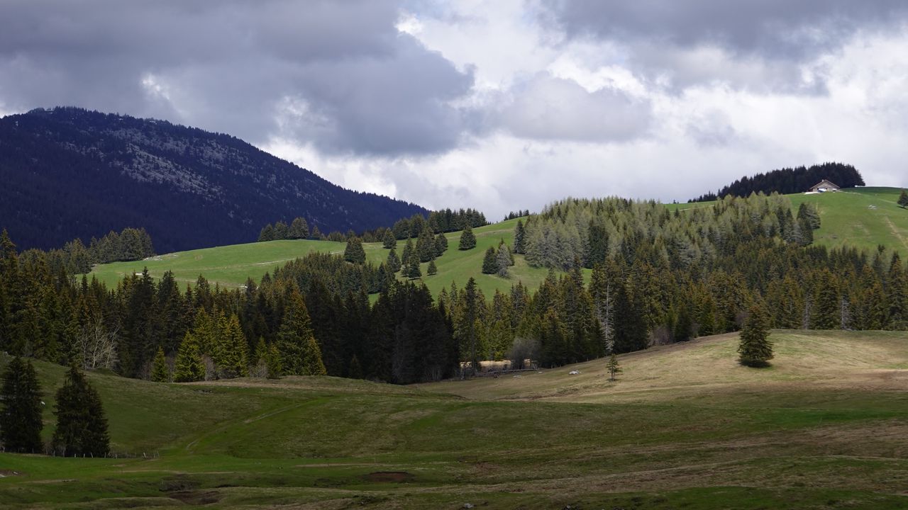 Wallpaper valley, hills, trees, landscape