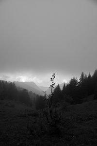 Preview wallpaper valley, hills, trees, black and white, nature