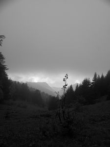 Preview wallpaper valley, hills, trees, black and white, nature