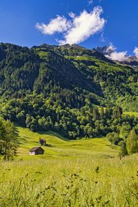 Preview wallpaper valley, house, mountain, trees