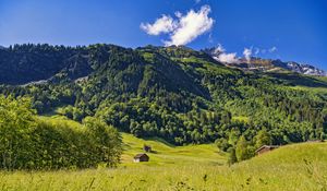 Preview wallpaper valley, house, mountain, trees