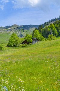 Preview wallpaper valley, houses, trees, mountains, nature, landscape