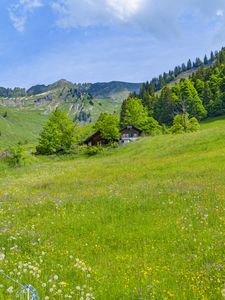 Preview wallpaper valley, houses, trees, mountains, nature, landscape