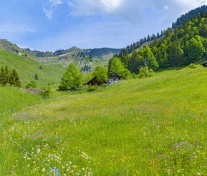 Preview wallpaper valley, houses, trees, mountains, nature, landscape